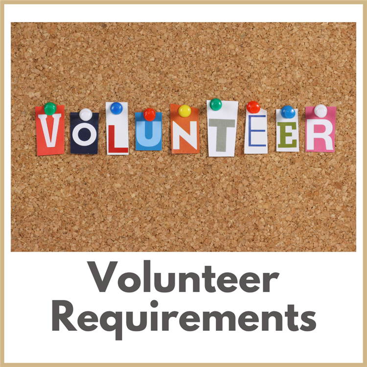 volunteer graphic